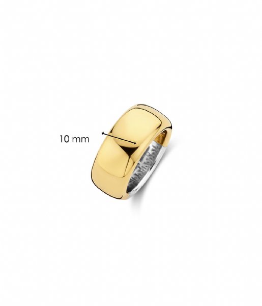 TI SENTO - Milano  925 Sterling Zilveren Ring 12234 Silver yellow gold plated (12234SY)