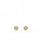 TI SENTO - Milano  925 Sterling Zilveren Earrings 7867 Zirconia white yellow gold plated (7867ZY)