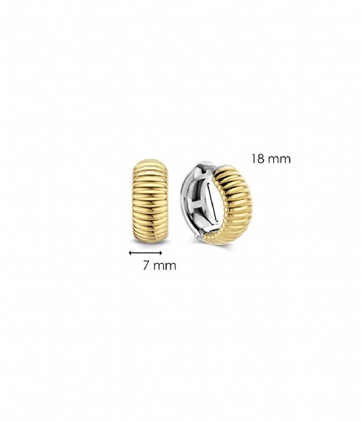 TI SENTO - Milano  925 Sterling Zilveren Earrings 7840 Silver Yellow Gold Plated (7840SY)