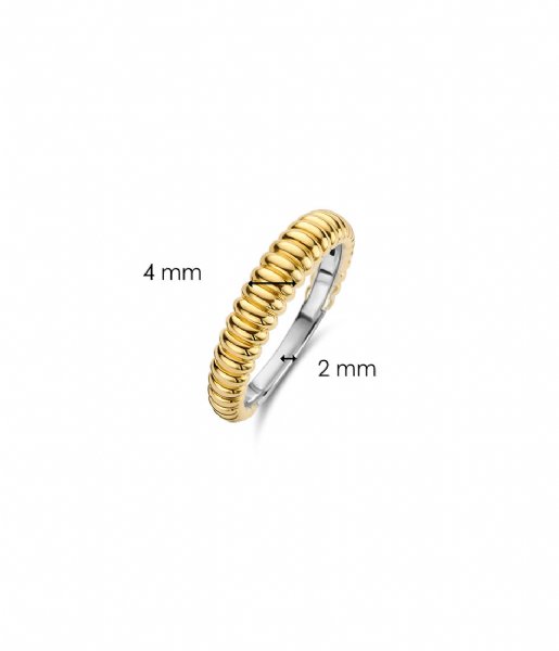 TI SENTO - Milano  925 Sterling Zilveren Ring 12218 Silver Yellow Gold Plated (12218SY)