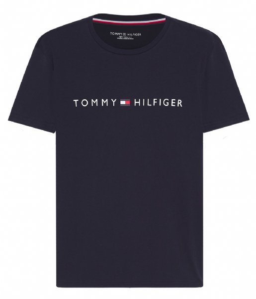 Tommy Hilfiger  Cn Short Sleeve Tee Logo Desert Sky (DW5)