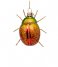 Vondels  Ornament glass green/red scarabee glitter H8cm Green Red